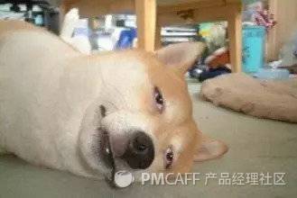 32383f9d504d8e7744c987516fd03925-picture